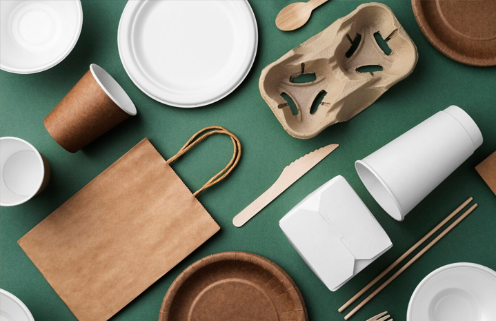 وعاء ورق السلطة: دليل للأنواع والاستخدام والسماد