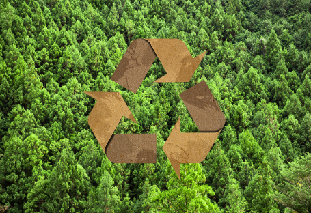 دليل FSC وEUDR وPEFC لشراء مستلزمات تقديم الطعام التي تستخدم لمرة واحدة